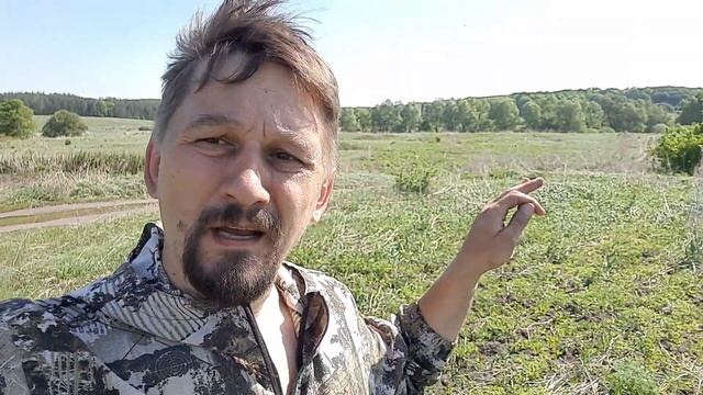 КОП 2021 Разведка новых мест для копа Новая дорога через урочище. Поиск монет с металлоискателем смотреть онлайн