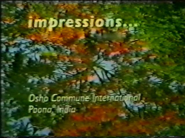 Впечатления... (1993)