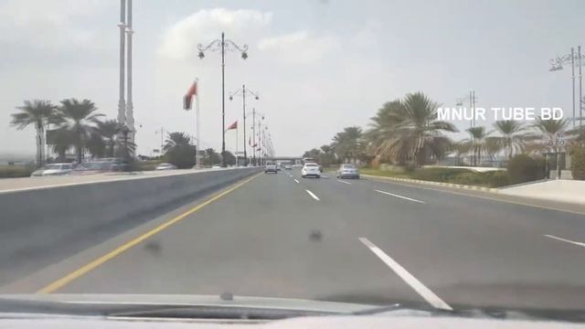 OMAN - Dragon Market In Oman Barka II Road Trap