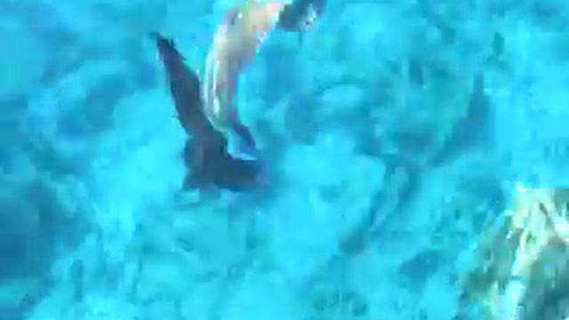 червоне море смотреть онлайн