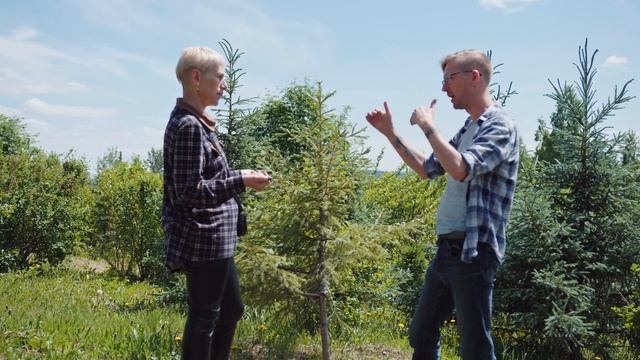 От обрезанных тополей к зеленому городу. Кто озеленяет Иркутск и будем ли мы зарабатывать на цветах смотреть онлайн