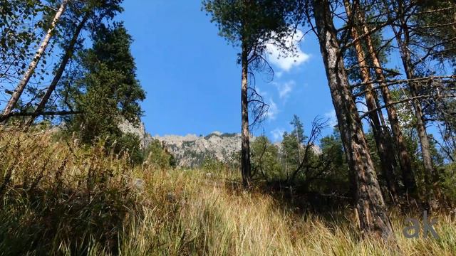 #Кавказ#Уллу -Кам #4kVideo 4kRelax смотреть онлайн