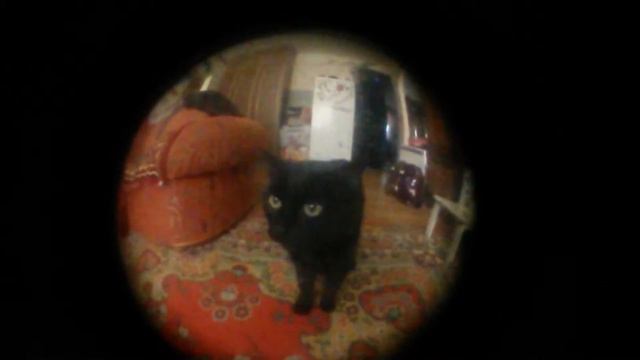 Тест самодельного фишай смотреть онлайн