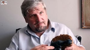 Профессор Савельев - Про элиту