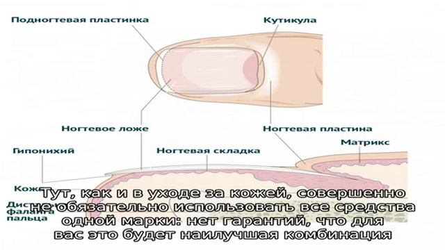 Как продлить стойкость лака: 8 советов, которые работают смотреть онлайн