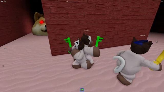 Спасение Котят От Злых Собак в ROBLOX!!! | Doge Head Escape ! смотреть онлайн