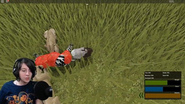 ROBLOX WILD SAVANNAH TESTING A! VULTURE! - ? The ALL MIGHTY GIRAFFE ? All Lions Hail the NEW KING! смотреть онлайн