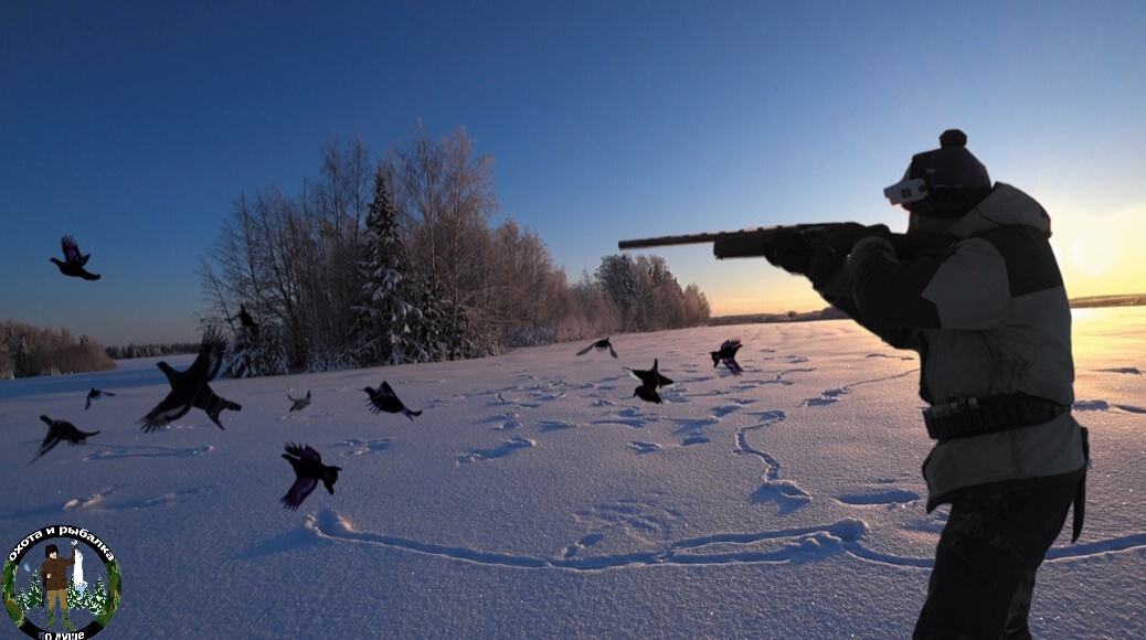 Самоубийство Косача! Охота на тетерева зимой на лунках 2024. смотреть онлайн