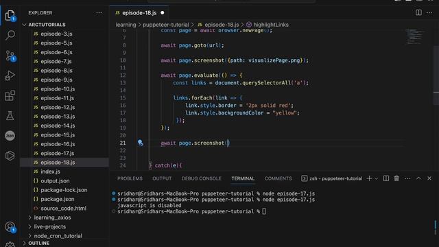 Highlight Links in a WebPage | Puppeteer Tutorial #18 смотреть онлайн