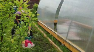 Предварительная фиксация поликарбоната на теплице