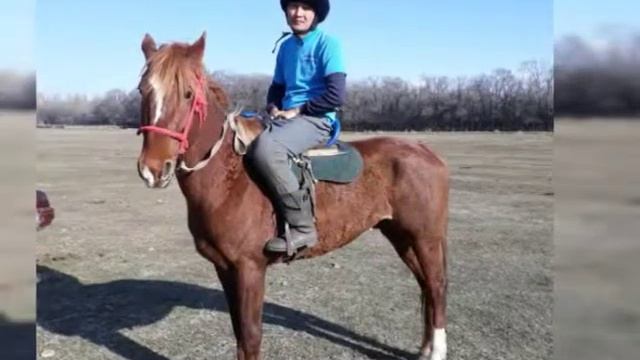 Чон орукту командасы🏇🥇🏅🇰🇬 смотреть онлайн
