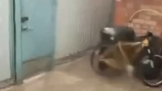 Ейск ! Посмотрела заранее, планы, волнения, переживания и много всего интересного из нашей жизни ! смотреть онлайн