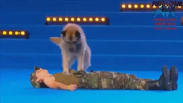Тест на психику , если засмеялся , то ты мой пациент -_- " Русский гольф " смотреть онлайн