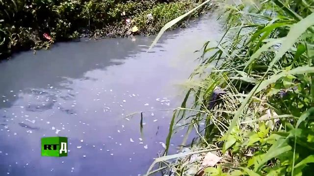 Ядовитые воды Индонезии смотреть онлайн