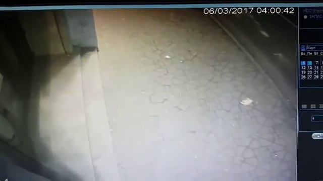Ограбление ювелирного во Владивостоке смотреть онлайн