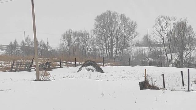 Когда я с утра встал я обалдел. Весна. 4 апреля. Время 8:15. Природа интересное чудо. СНЕГ В АПРЕЛЕ смотреть онлайн