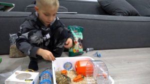 Реакция ПАПЫ на ХОМЯКОВ?...Пополнение в нашей семье!!!