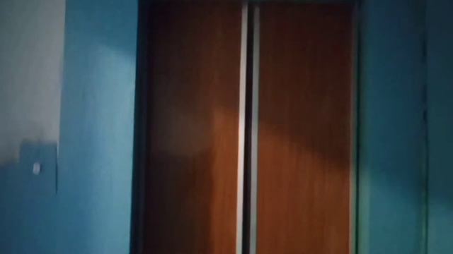 Лифт МЛЗ 80-х г/п 320 кг V-0,71 м/с. (166) смотреть онлайн