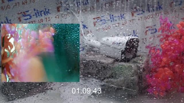 Тестирование камеры PS-link AHD105 на степень защиты IP66