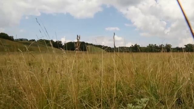 «Легенды и предания земли Пензенской» смотреть онлайн