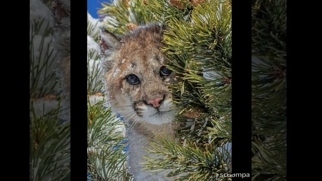 Доброго утра!Крепкого здоровья! смотреть онлайн