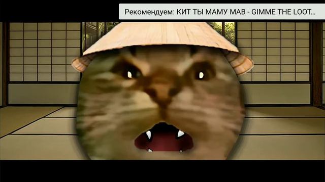 ТОП 5 МЕМОВ КИТ ТЫ МАМУ МАВ смотреть онлайн