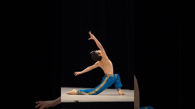 Riccardo Drigo u.a. - Le Corsaire - Pas de Deux - 2. Herrenvariation смотреть онлайн