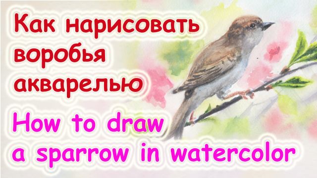 Как нарисовать воробья акварелью смотреть онлайн