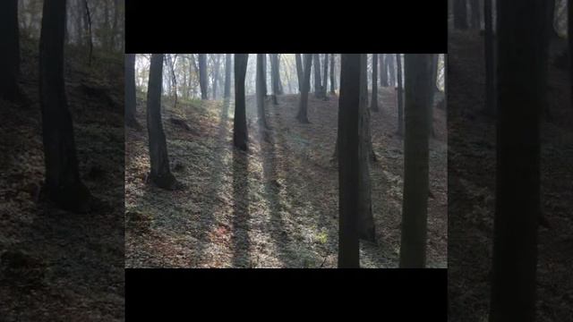 Kudumba - Kongó смотреть онлайн