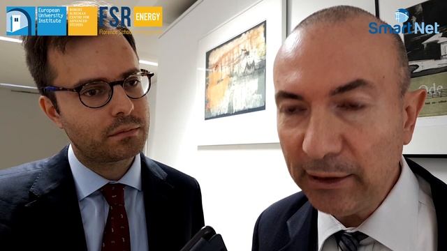 What can we learn from SmartNet? | G. Migliavacca (RSE) смотреть онлайн