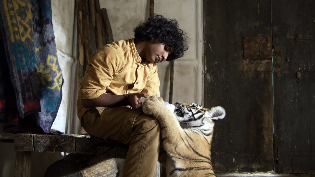 Мой тигр Русский трейлер Фильм 2022 смотреть онлайн