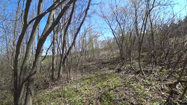 Открываем лесной сезон. (1/2). Пермь.4 мая 2020 смотреть онлайн