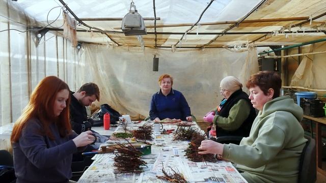 Зимняя прививка роз. смотреть онлайн