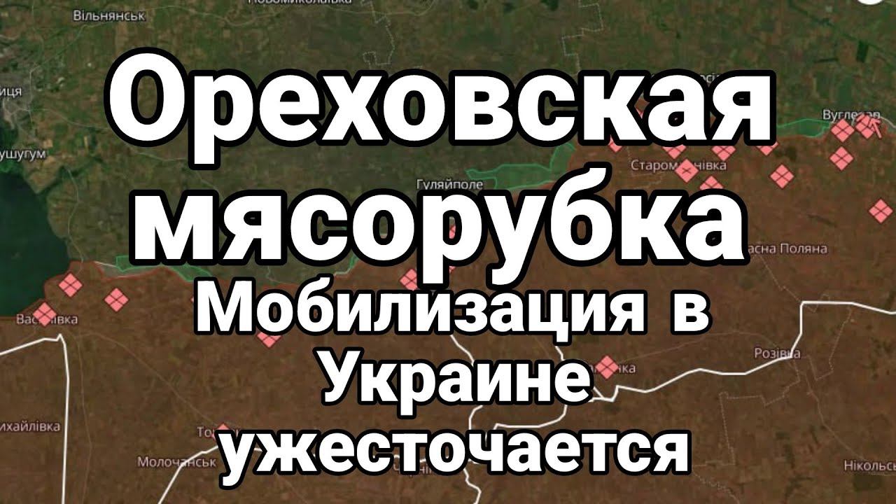 0РЕХ0ВСКАЯ МЯС0РУБКА!