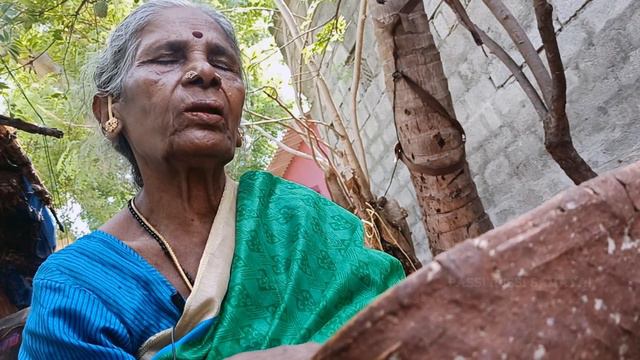 குழந்தை பாக்கியம் தரும் மலைவேம்பு மருந்து | Malai Vembu For Pregnancy In Tamil| Infertility Problem