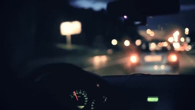 Каждую ночь, пока хозяева спали, этот пёс вёл себя странно. Причину удалось выяснить в приюте смотреть онлайн