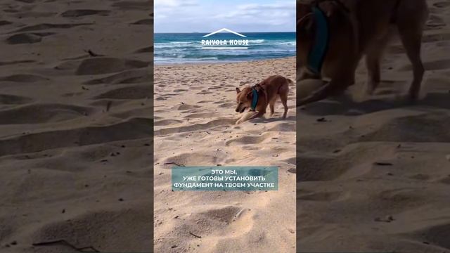 Когда уже готовы установить фундамент на твоем участке смотреть онлайн