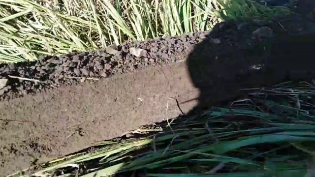 НАШЛИ БАЛКУ ВЕСОМ 80 КГ ЕЛЕ ВЫТАЩИЛИ смотреть онлайн