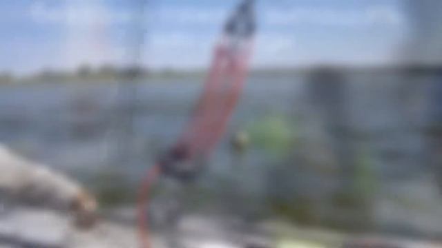 Игра в парусные салочки смотреть онлайн