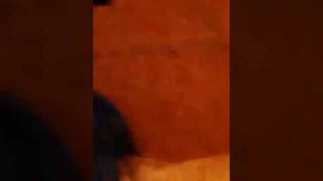 Зашёл посмотреть сколько просмотров...