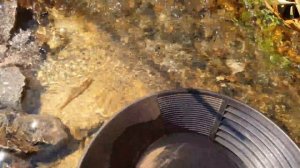 ЗОЛОТО ИЗ ПЕСЧАНОГО КАРЬЕРА