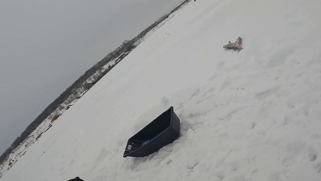 Рыбалка с камерой Calypso UVS-03 Pro на щуку)