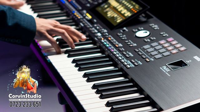 Korg PA5X - INSTRUMENTAL