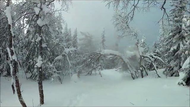 Уреньга 8 февраля, 2020 смотреть онлайн