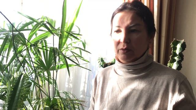 МОИ СУККУЛЕНТЫ. МОЛОЧАИ смотреть онлайн