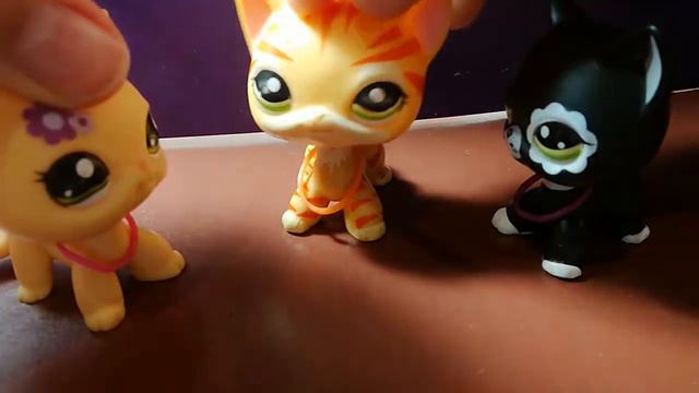 Школа? Не, не слышали! 10 серия~что она тут делает?! смотреть онлайн