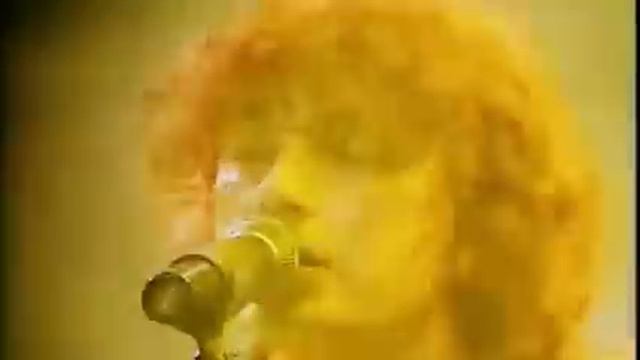 TRANSELVANIYA:RETURNING,SS'13. смотреть онлайн