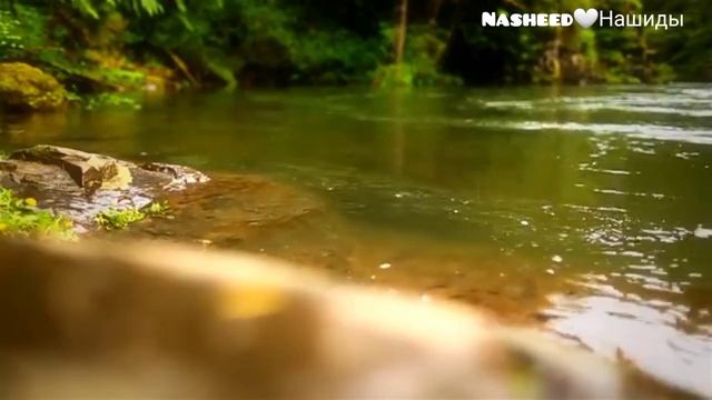 Nasheed-Khayef