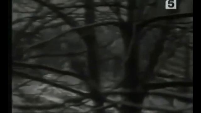 "Перестройка" в Казахстане смотреть онлайн