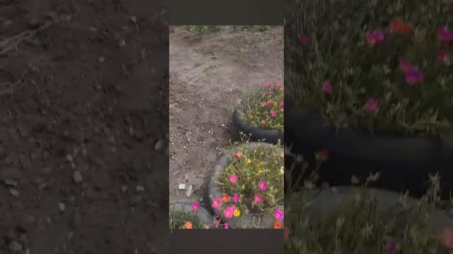 У бабушки❤️ смотреть онлайн